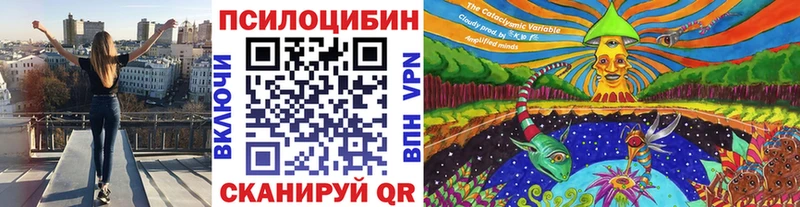 Псилоцибиновые грибы мицелий  магазин продажи   Торопец 